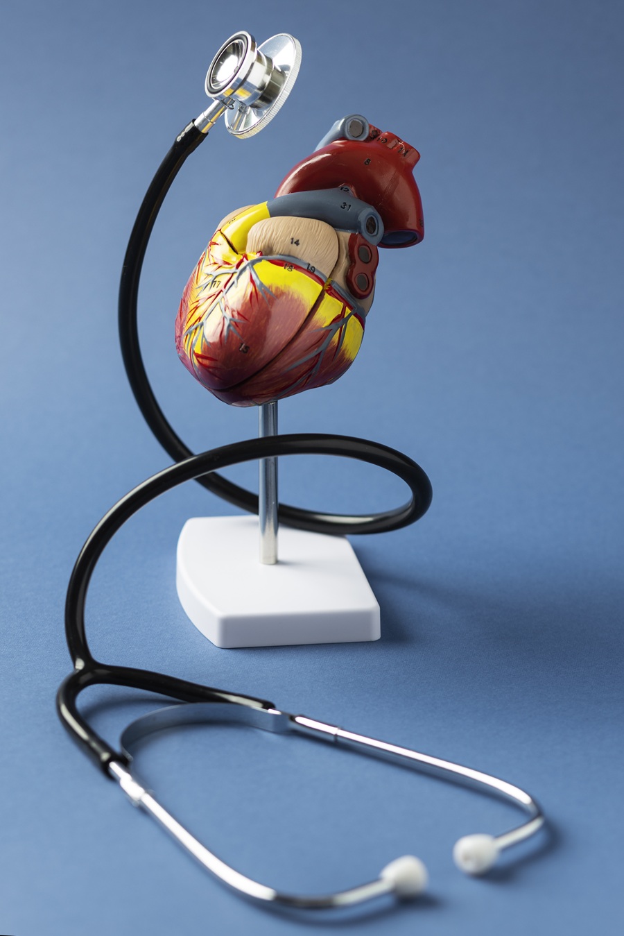 mejor-cardiologo-y-ecocardiografista-en-puebla